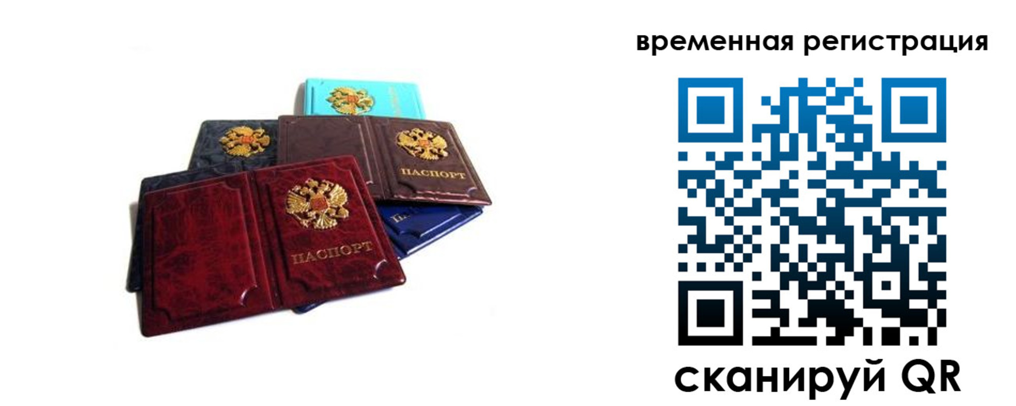прописка гарантия в Михайлове